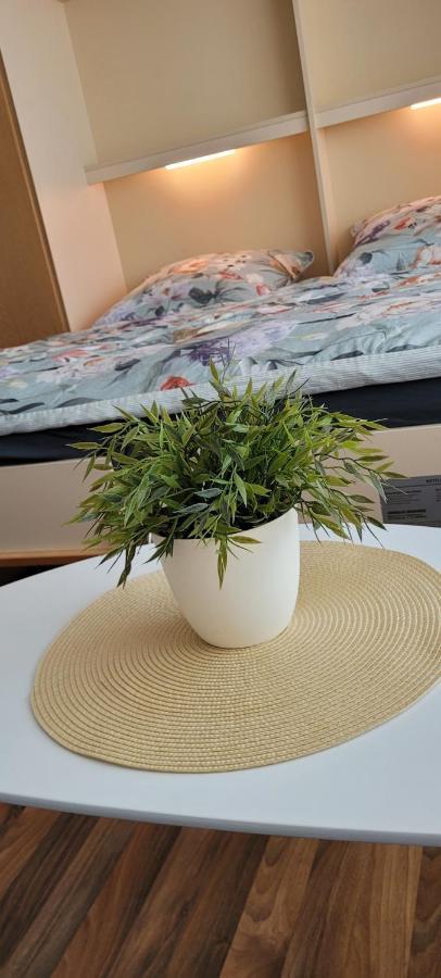 Apartament Anna Altreichenau Neureichenau Zewnętrze zdjęcie