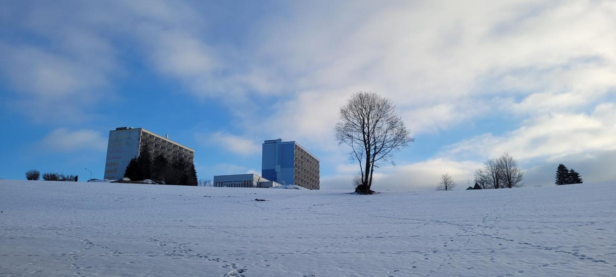 Apartament Anna Altreichenau Neureichenau Zewnętrze zdjęcie